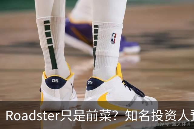 Roadster只是前菜？知名投资人预言：SpaceX(SPCX.US)收购特斯拉(TSLA.US)或几周内官宣，每股420美元